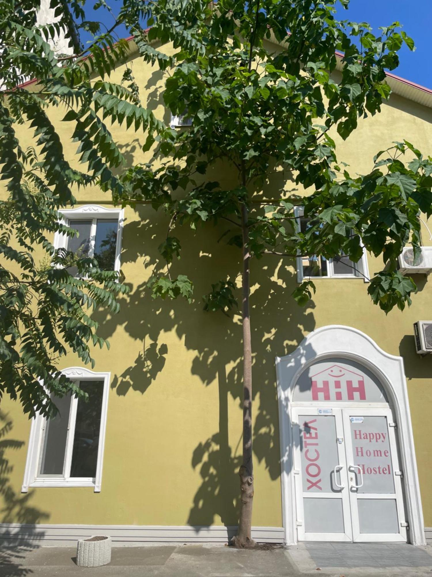 Happy Home Hostel Odessa Esterno foto